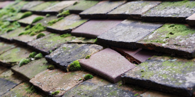 Cae Gors roof repair costs